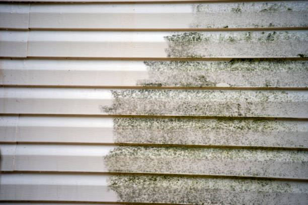 Best Siding Removal and Disposal  in Hammonton, NJ